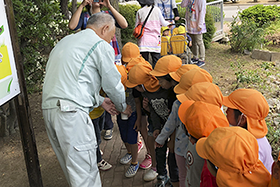 ホタルの幼虫を見てみよう