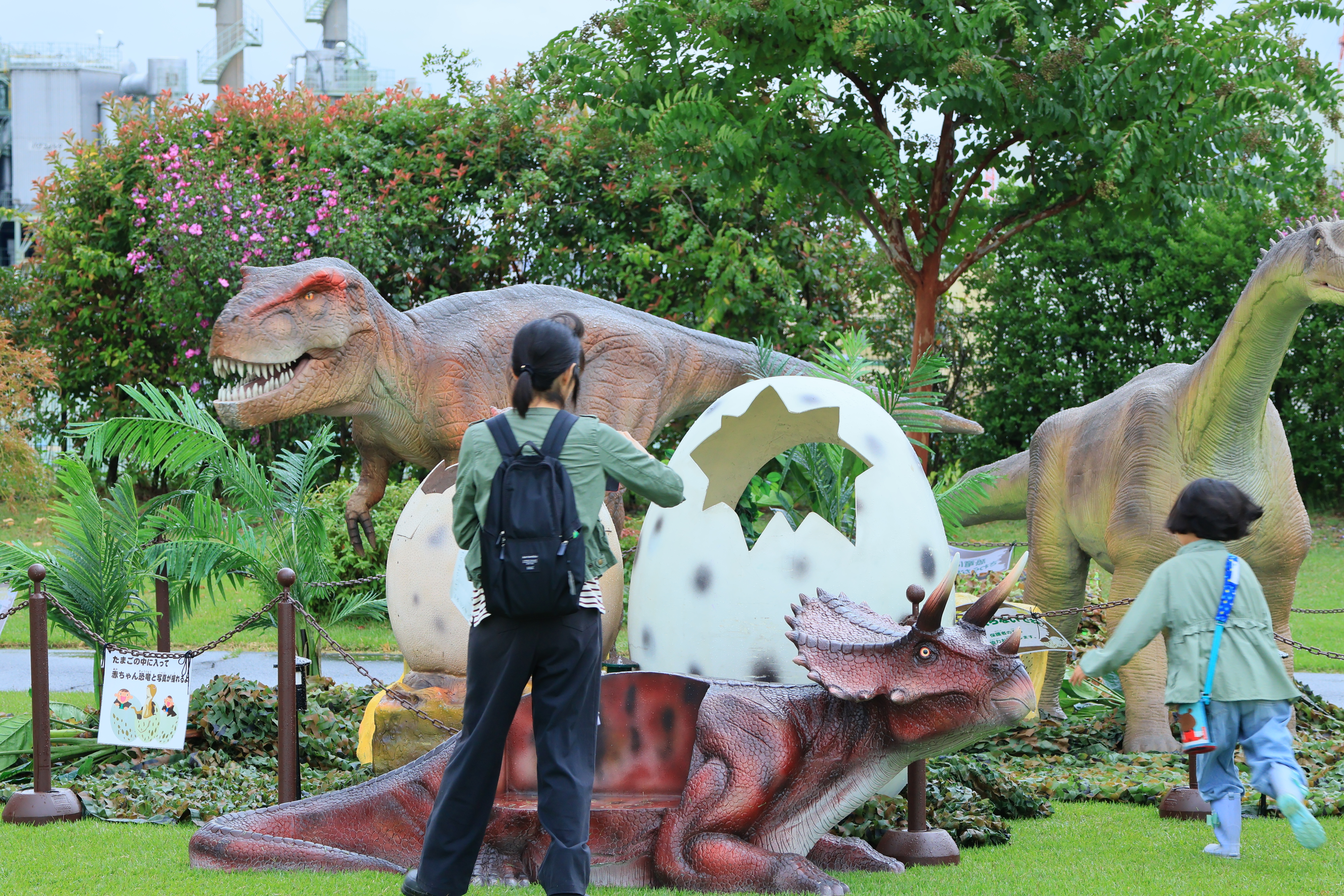移動動物園のふくろうの様子