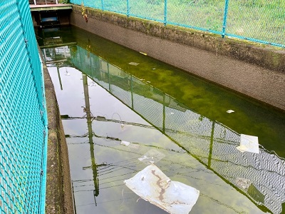 下水道整備前の濁った色・ごみで汚れた水路の様子