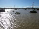 台風時荒川の洪水状況の写真